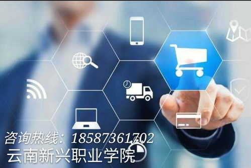 云南新興職業(yè)學院 電子商務技術引領策劃創(chuàng)意服務新篇章